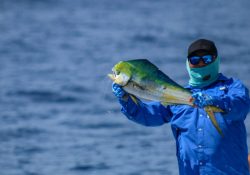 Gran ventana de crecimiento en la pesca deportiva: Lemmen-Meyer González; genera 2MMDD en el país