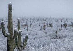 Se espera nuevo frente frío en Sonora
