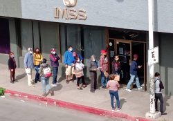 Largas filas en subdelegación del IMSS sin cuidar sana distancia