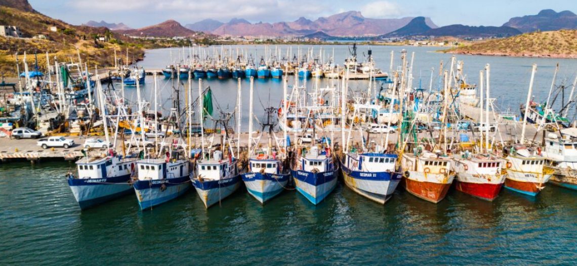 Renuevan permisos y concesiones de pesca