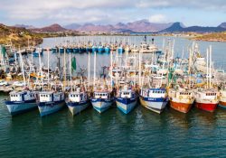 Renuevan permisos y concesiones de pesca