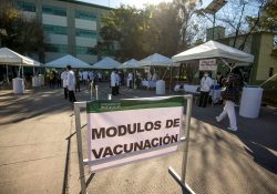 Prometen vacunar a 3 millones de adultos mayores en 7 días