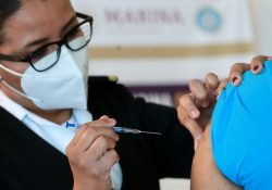 Proponen consagrar en Constitución derecho a vacunas y medicinas