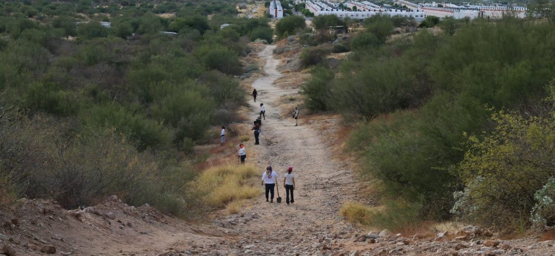 Colectivos de búsqueda se reactivarán en Guaymas