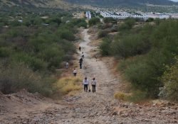 Colectivos de búsqueda se reactivarán en Guaymas