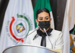 Aprueban iniciativa a favor del desarrollo económico