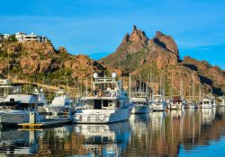 Cayó 46% el turismo internacional hacia México por la pandemia; dejaron de ingresar 13 MMDD