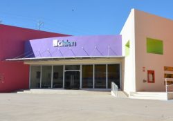 Trabajemos en la salud emocional de nuestros niños: Salud Sonora