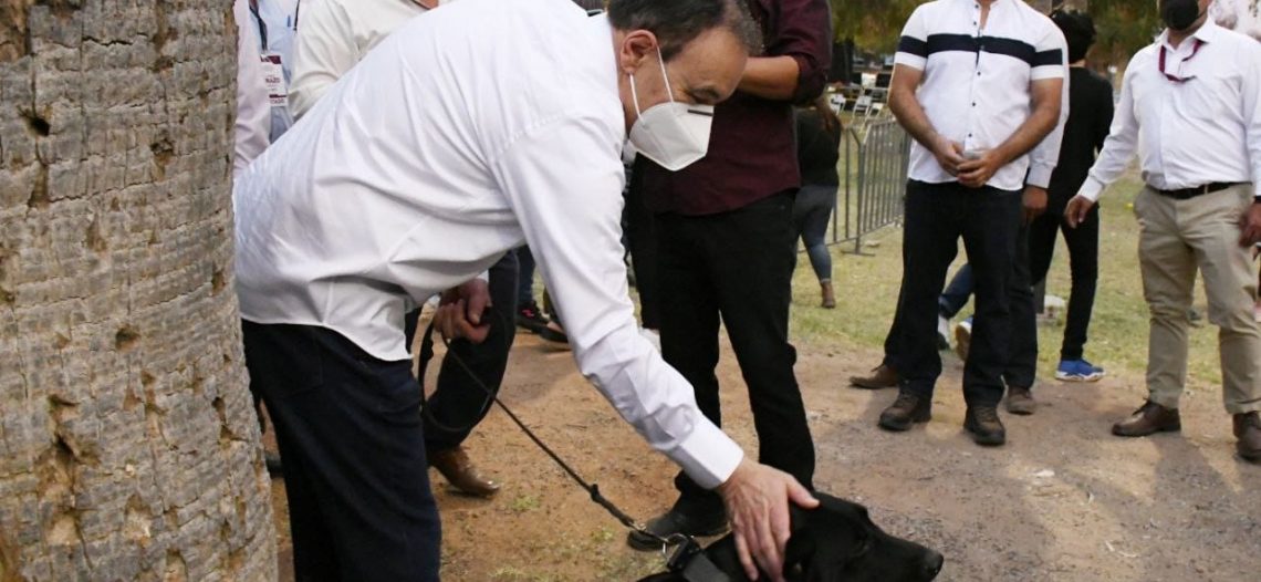 Veterinarias públicas para atender animales de la calle, propone Alfonso Durazo. 