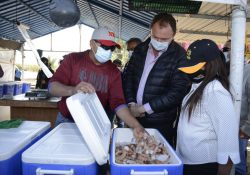 Apoyará el “Borrego” Gándara a pequeños negocios de comida a través de aplicaciones móviles