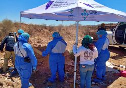 EN LAS ÚLTIMAS 48 HORAS, LA FISCALÍA DE JUSTICIA DE SONORA BRINDÓ APOYO EN BÚSQUEDAS A COLECTIVOS DE CAJEME, GUAYMAS Y NOGALES
