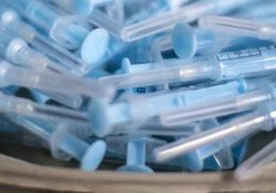 Pfizer alista ‘versión especial’ de vacuna covid lista para el verano
