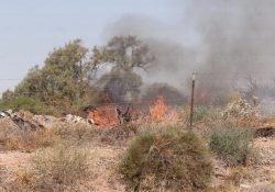 Aumentarán incendios forestales y de maleza 100 por ciento: Bomberos
