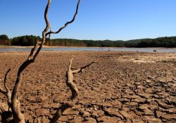 NASA alerta sobre la grave sequía que enfrenta México