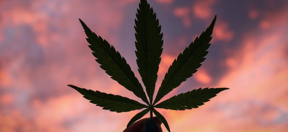 Ya no está prohibido el uso lúdico de la marihuana