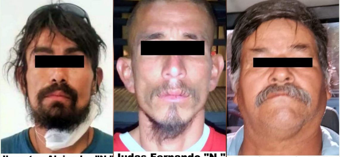 LA FGJE SONORA ABRIÓ CARPETAS DE INVESTIGACIÓN A TRES PROBABLES RESPONSABLES DE INCENDIAR PALMERAS DE LA VÍA PÚBLICA EN HERMOSILLO
