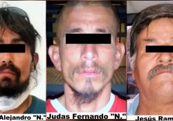 LA FGJE SONORA ABRIÓ CARPETAS DE INVESTIGACIÓN A TRES PROBABLES RESPONSABLES DE INCENDIAR PALMERAS DE LA VÍA PÚBLICA EN HERMOSILLO