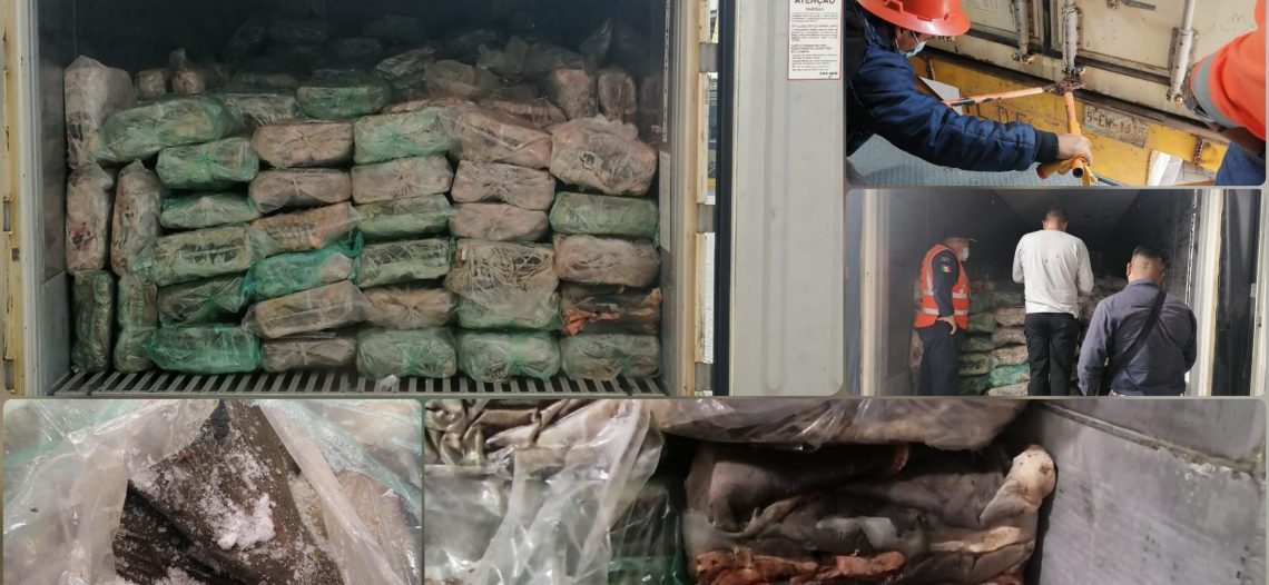Aseguran más de 25 mil kilos de piel de tiburón Manzanillo