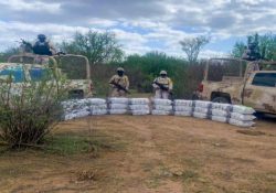 Aseguran casi media tonelada de metanfetamina, en la comunidad yaqui de Bácum