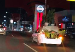 Circula por las calles de Guaymas el #AutoMaseta