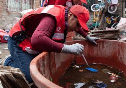 Llama Salud Sonora a eliminar criaderos de mosquitos