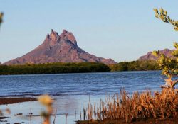 Reabre sus puertas el Estero “El Soldado” en Guaymas