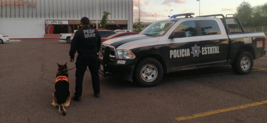 Apoya grupo canino K-9 operativos de la PESP Sonora
