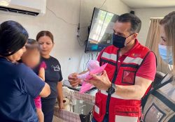 Niña de 11 meses será cuidada por una familia solidaria