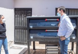 Entrega Sedesson proyectos productivos para que familias salgan adelante