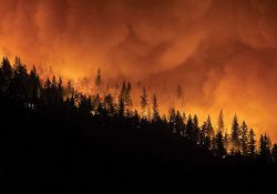 Incendios rompen récord en California