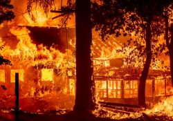 Incendios devastan casas en California