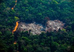 Alertan sobre el fenómeno de “El Niño” y su afectación en el clima