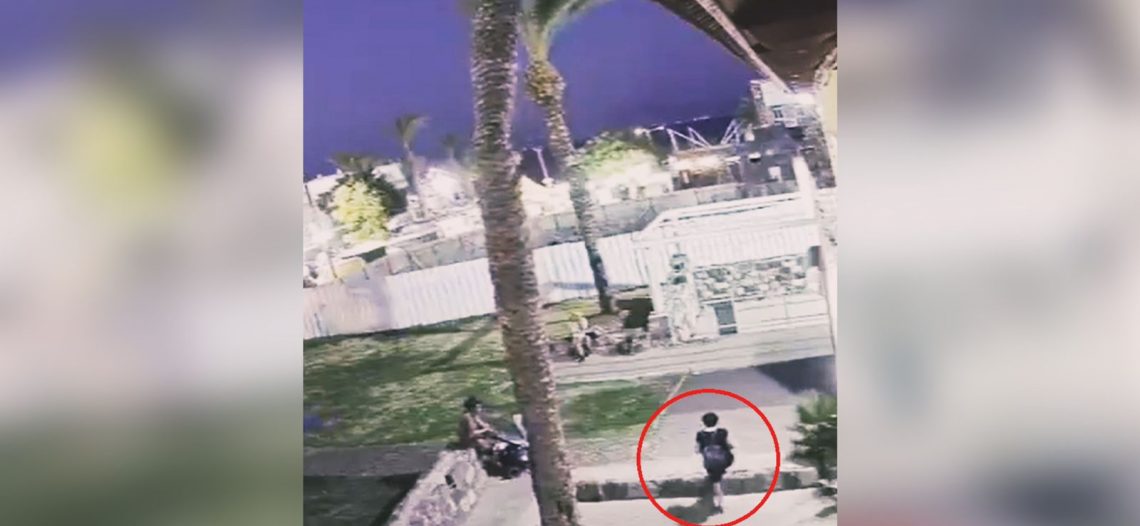 VIDEO Mujer muere aplastada por palmera (Se recomienda discreción)