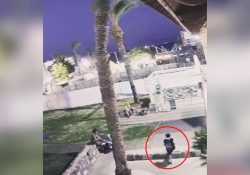 VIDEO Mujer muere aplastada por palmera (Se recomienda discreción)