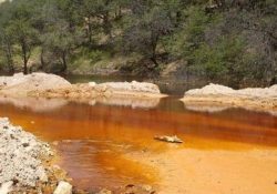 Afectados por derrames tóxicos en el Río Sonora piden respaldo a la Profepa
