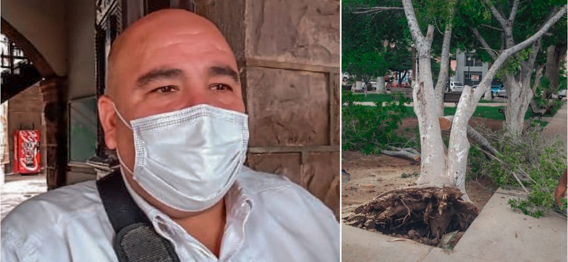 Deja daños menores, pero sin lesionados tormenta eléctrica en Guaymas: UMPC