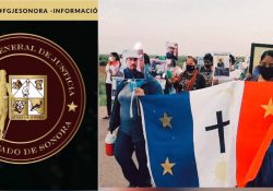 Confirma Fiscalía hallazgo de restos óseos en rancho El Chichiquelite,  territorio yaqui