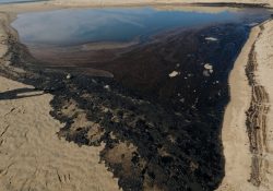 Se derrama petróleo en California y provocaría un desastre natural