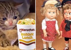 PROFECO anuncia que puede retirar del mercado sopas instantáneas… Mexicanos reaccionan con MEMES
