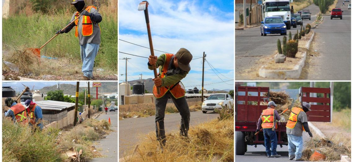 Atiende Ayuntamiento limpieza en camellones y banquetas en Guaymas Norte