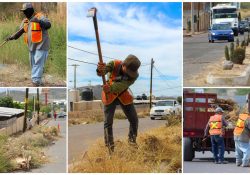 Atiende Ayuntamiento limpieza en camellones y banquetas en Guaymas Norte