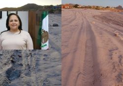 Alcaldesa Karla Córdova: Pondremos orden en playas de Guaymas
