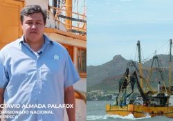 México recupera certificación a su camarón; ya se podrá exportar al mercado de los Estados Unidos