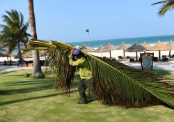 Vietnam recibe primeros turistas extranjeros en 20 meses