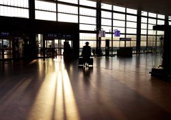 La OMS pide no realizar viajes ante variante Ómicron; no recomienda cierre de fronteras