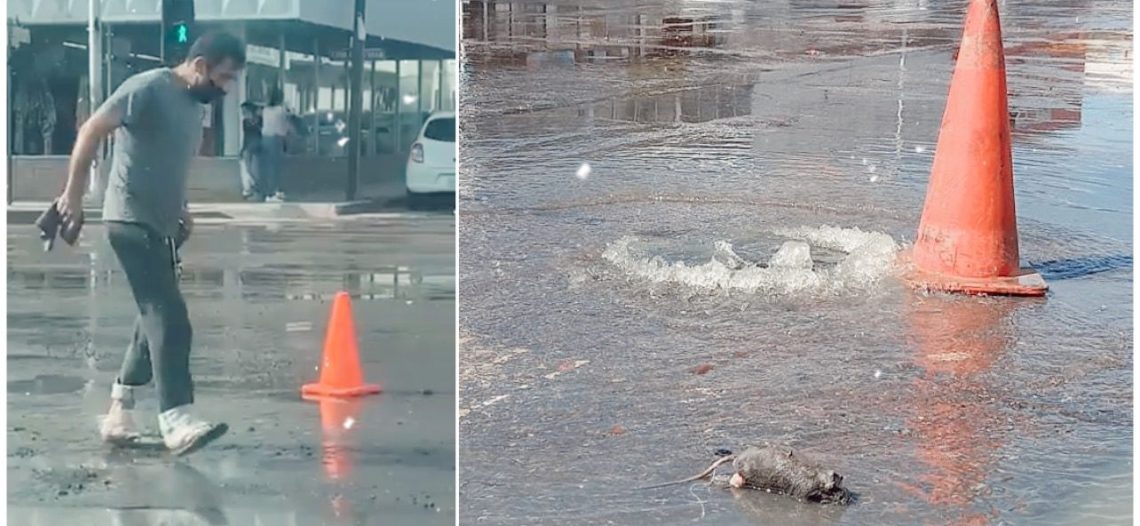 Confirman la emergencia por el derrame del drenaje en Guaymas; invertirán los primeros 10 millones a través del Cecop