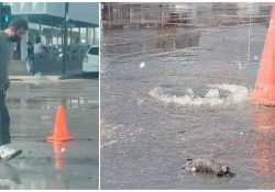 Confirman la emergencia por el derrame del drenaje en Guaymas; invertirán los primeros 10 millones a través del Cecop