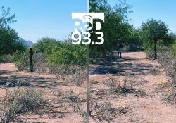 Encuentran más restos óseos en San José de Guaymas