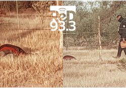Localizan a integrante de la tribu Yaqui sin vida entre Las Guásimas y «Boca Abierta»