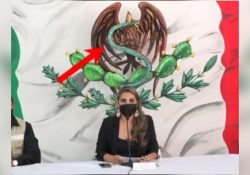 La gobernadora de Guerrero usa el escudo nacional para promoverse